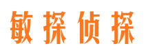 北湖侦探调查公司